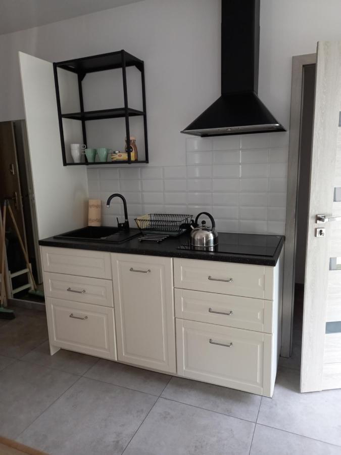 Apartament Przy Obozie オシフィエンチム エクステリア 写真