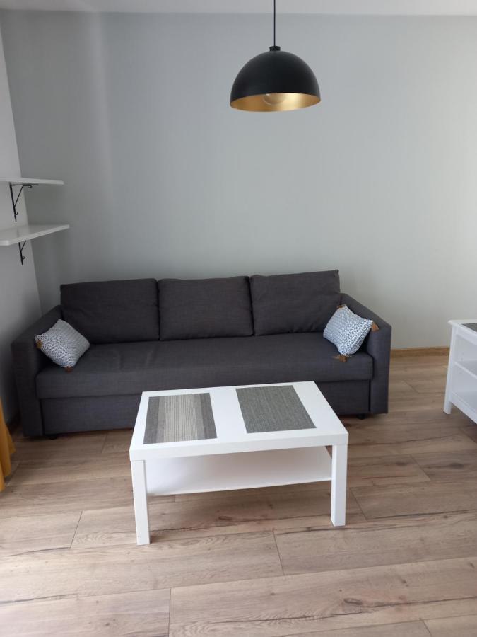 Apartament Przy Obozie オシフィエンチム エクステリア 写真